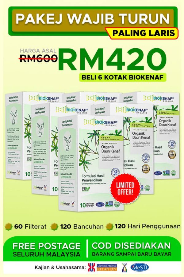 Pakej Lengkap (4 Kotak Biokenaf + Free 2 Kotak)